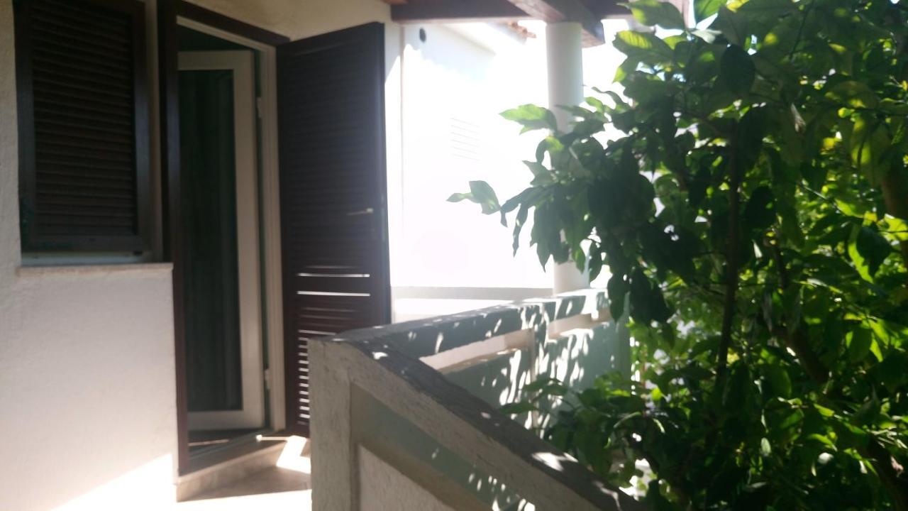 Adriatic Apartmani A2-A6, Rab Kampor المظهر الخارجي الصورة